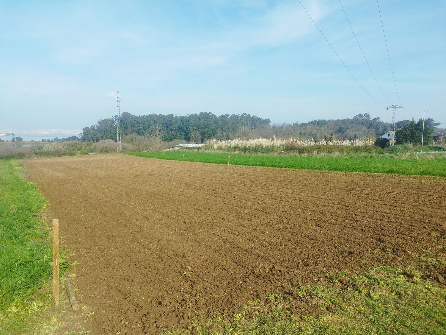 Preparación del terreno